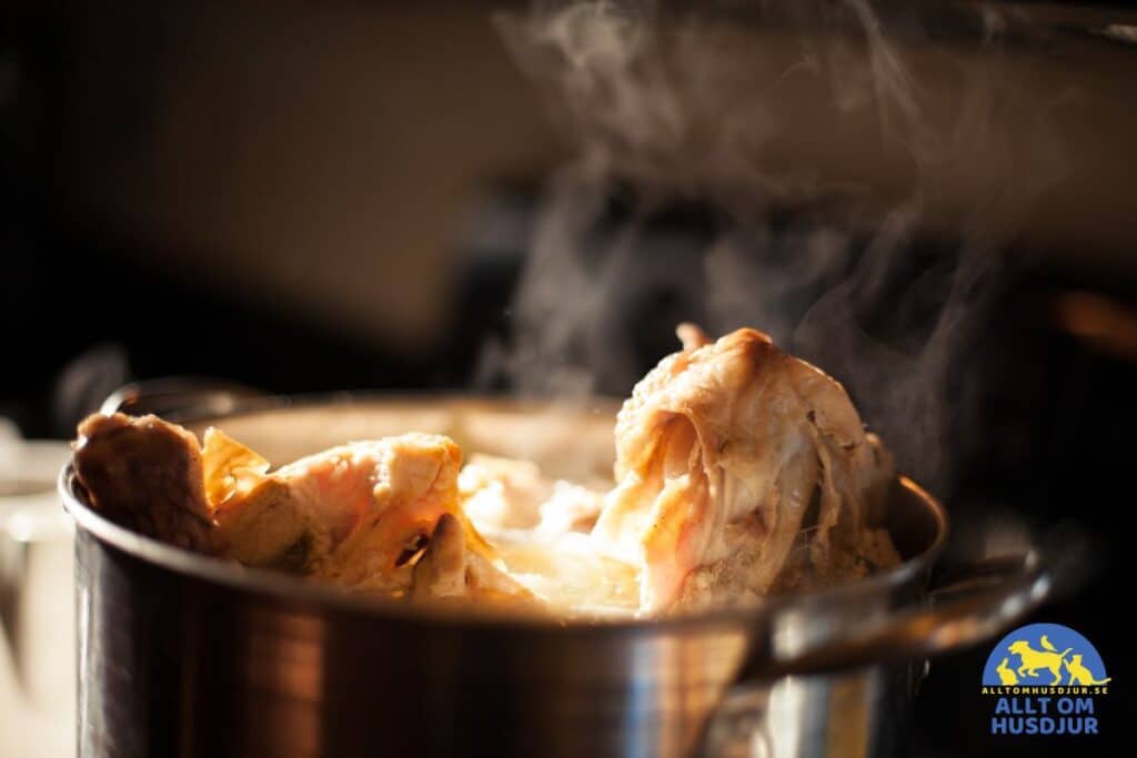 kan hundar äta blodpudding?