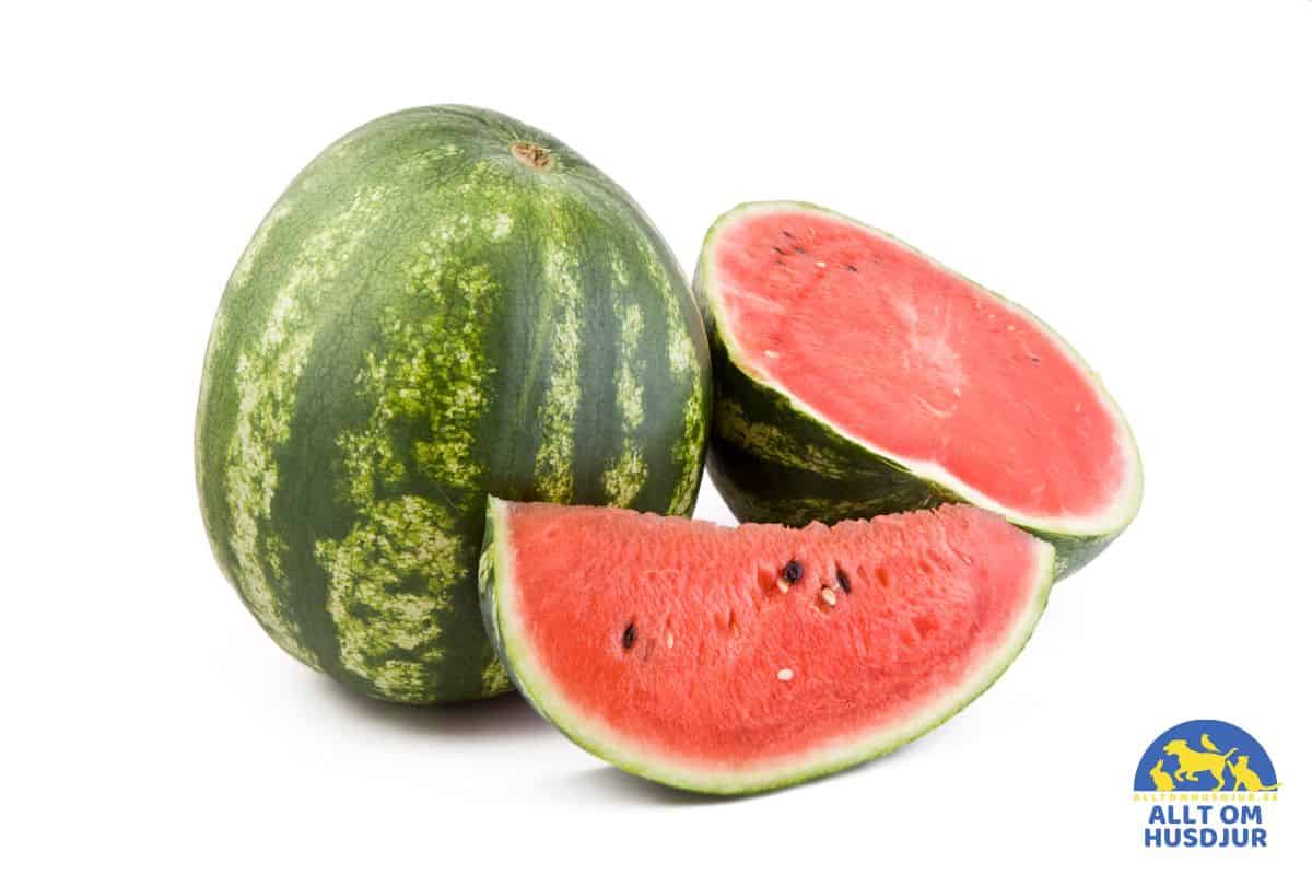Vattenmelon